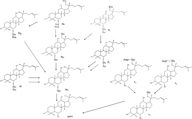 Fig. 2