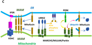 Figure 7C