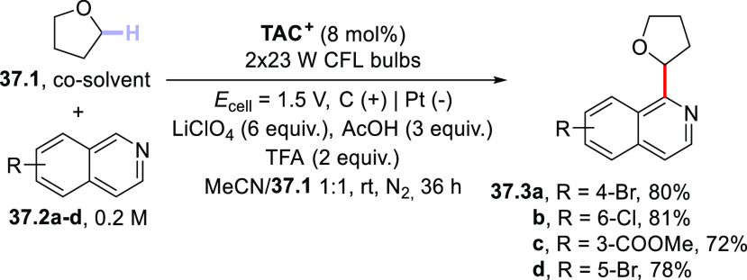 Scheme 37