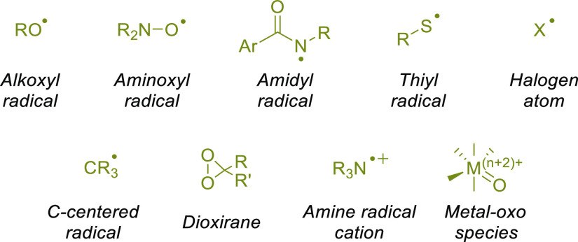 Scheme 4