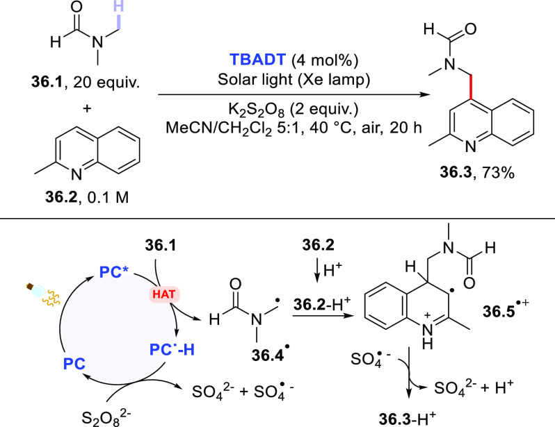 Scheme 36