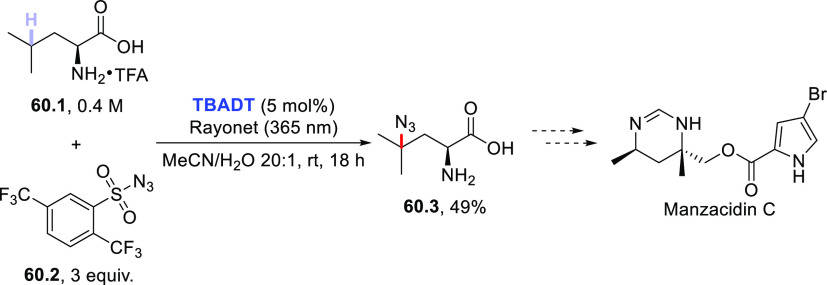 Scheme 60
