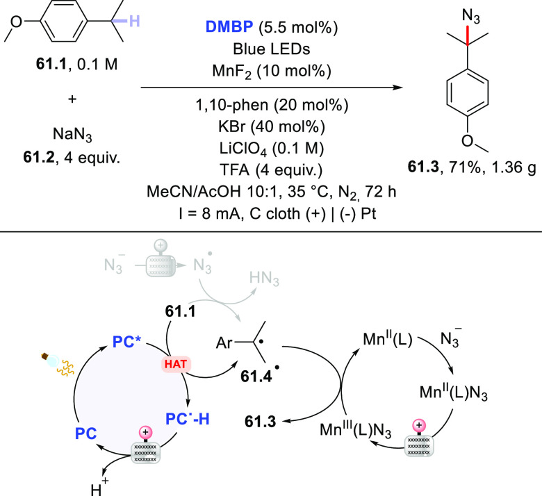 Scheme 61