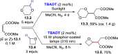 Scheme 13