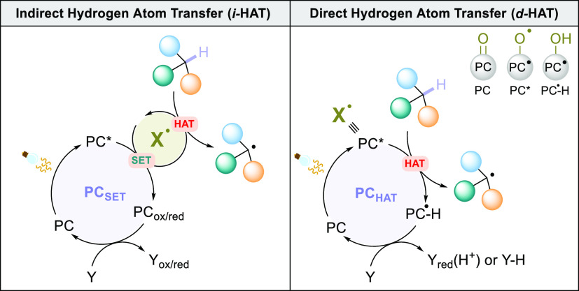 Scheme 5