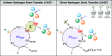 Scheme 5