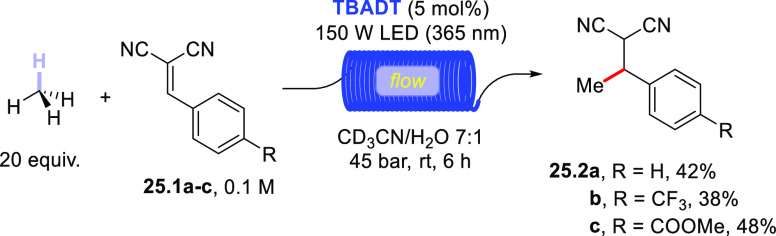 Scheme 25