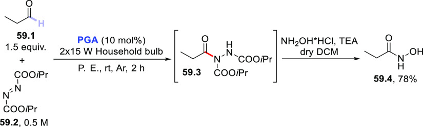 Scheme 59