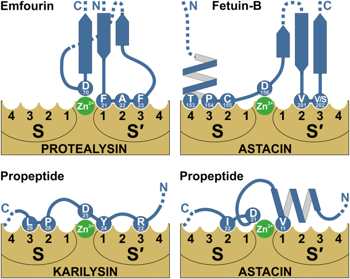 Figure 5