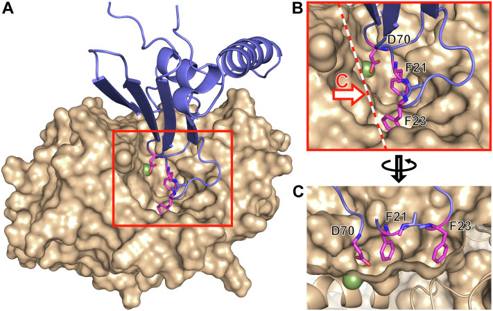 Figure 4