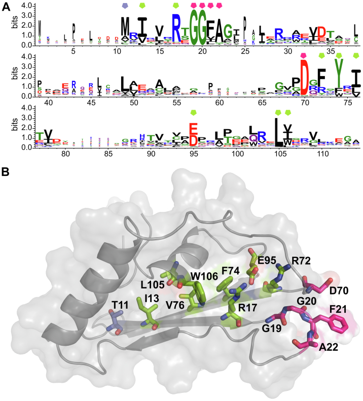 Figure 3