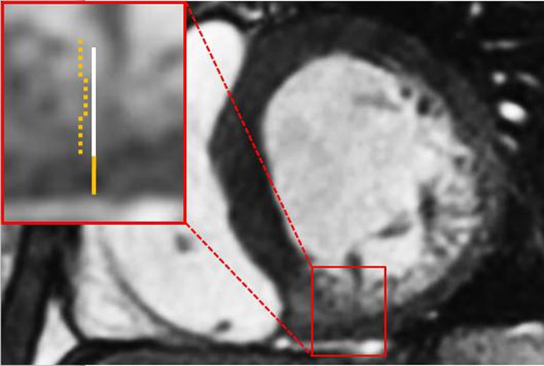 Fig. 5