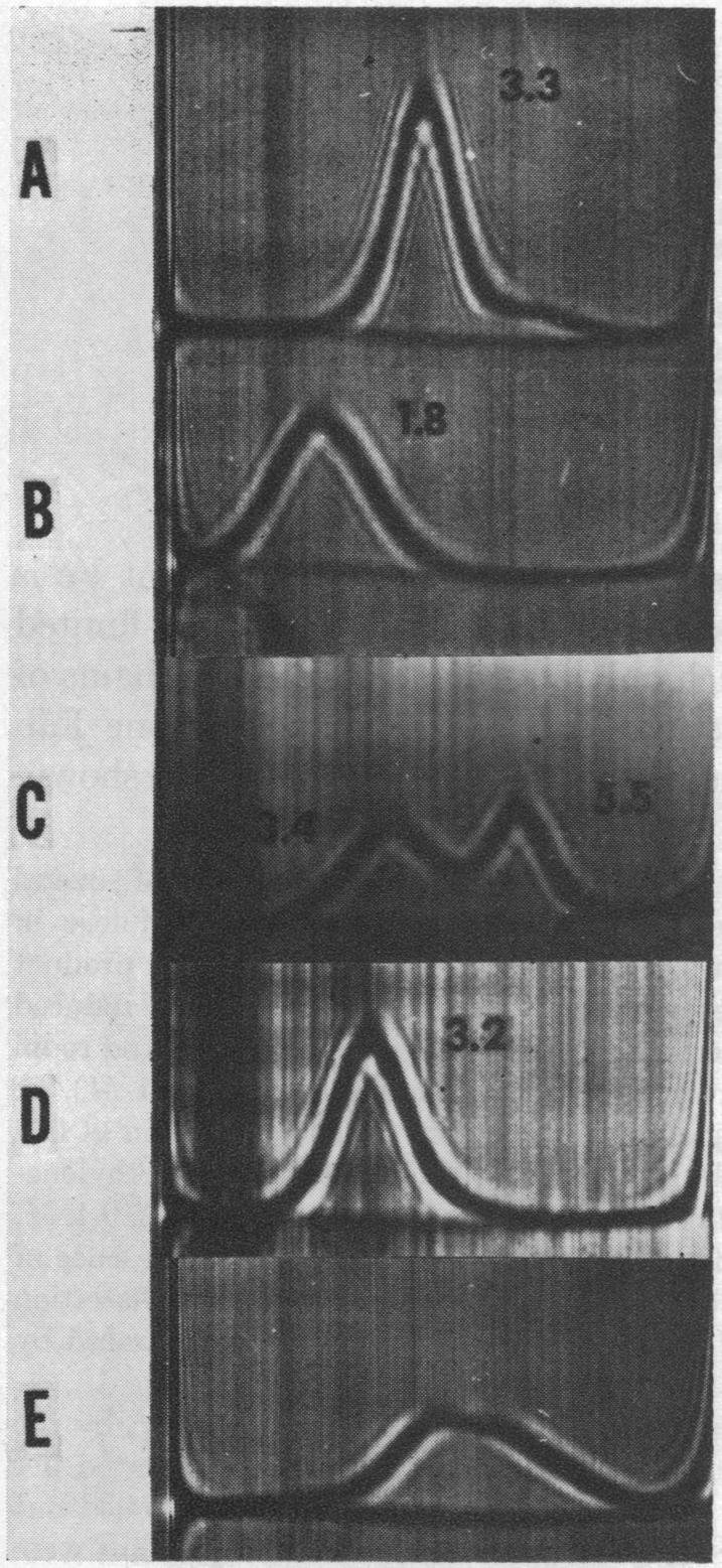 graphic file with name pnas00147-0242-a.jpg