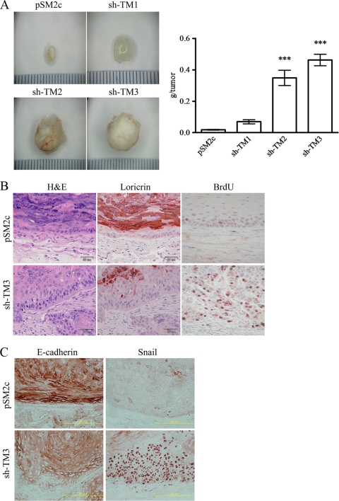 FIG. 7.