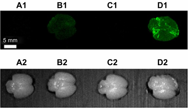 Figure 10