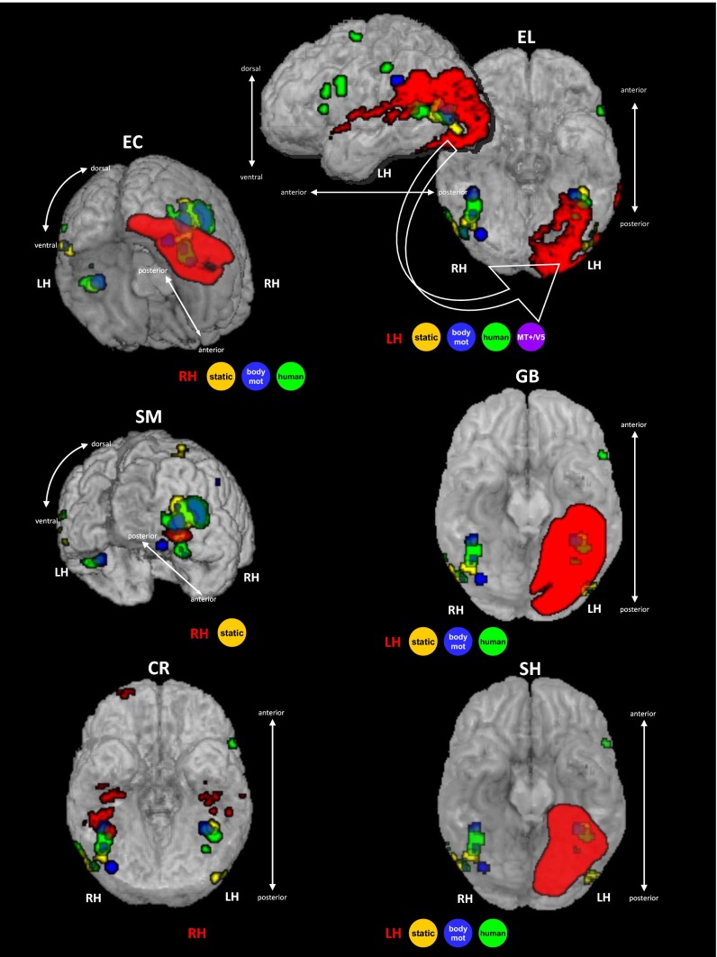 Fig. 3.