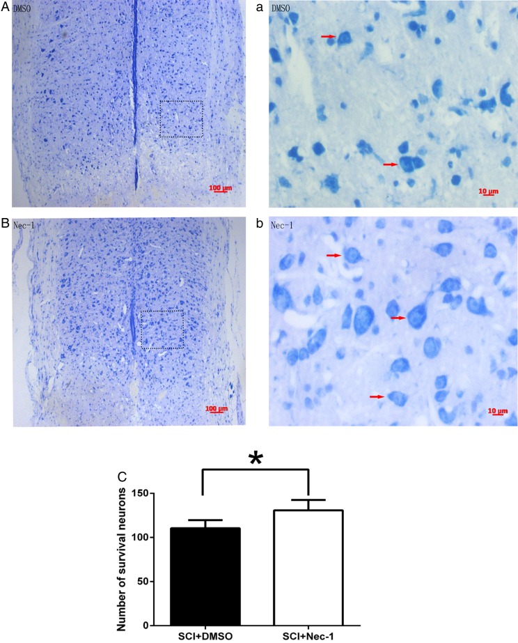 Figure 2 