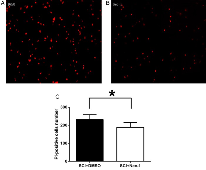 Figure 3 