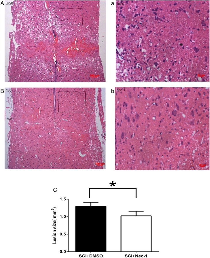 Figure 1 