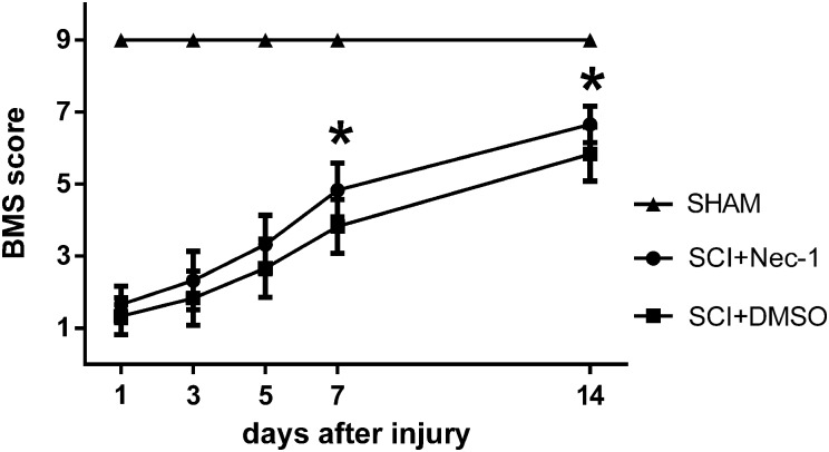 Figure 6 