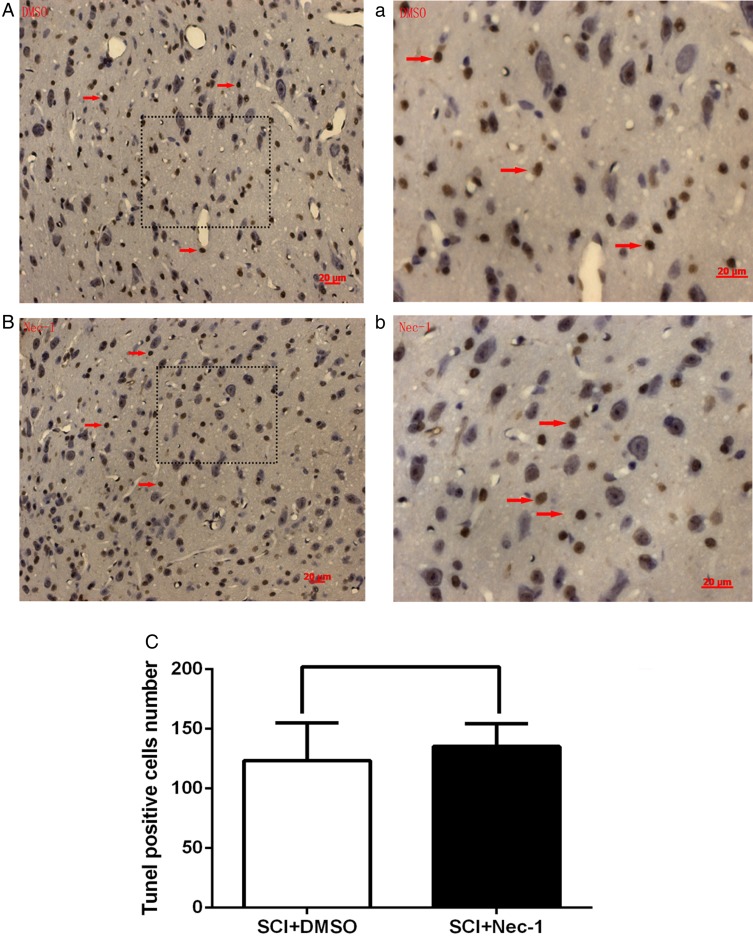 Figure 4 