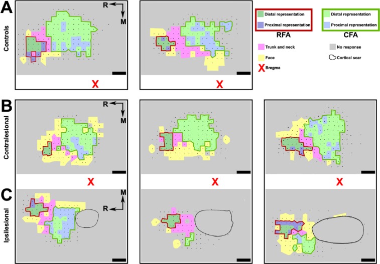 Figure 4.