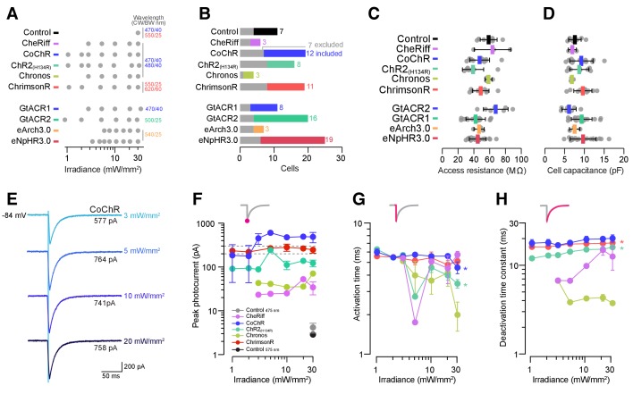 Figure 4—figure supplement 1.