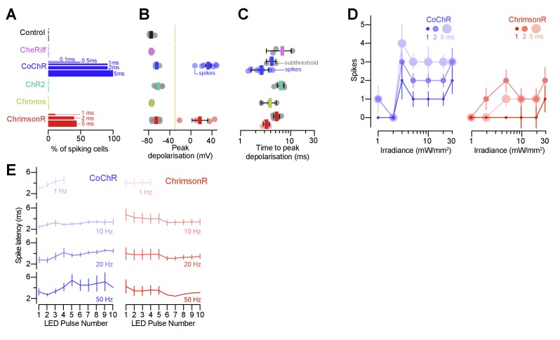 Figure 5—figure supplement 1.