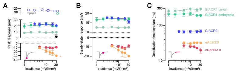 Figure 9—figure supplement 1.