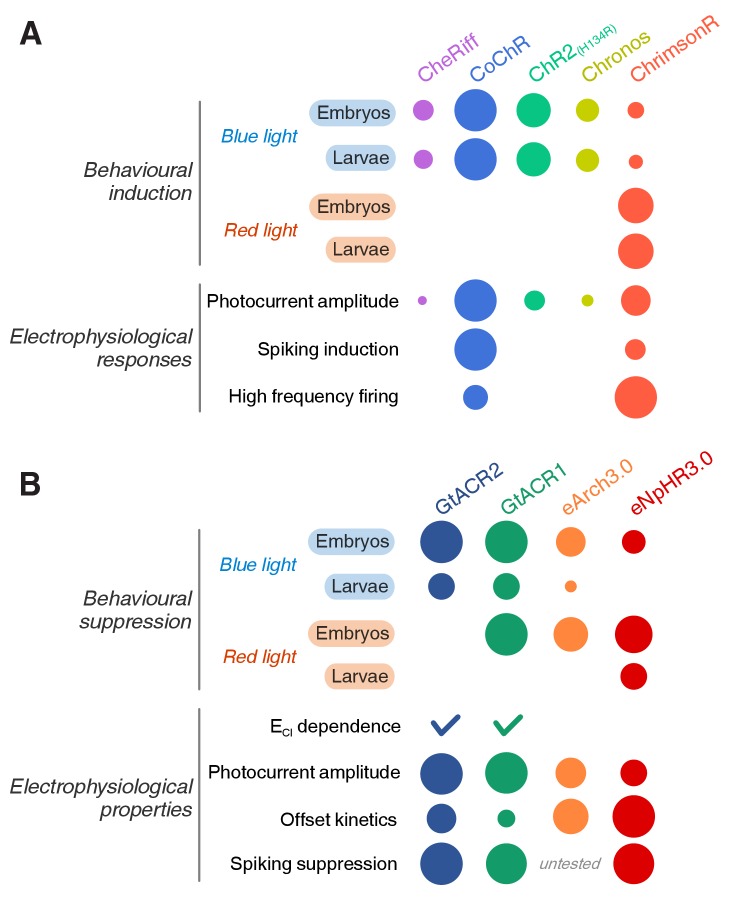 Figure 10.