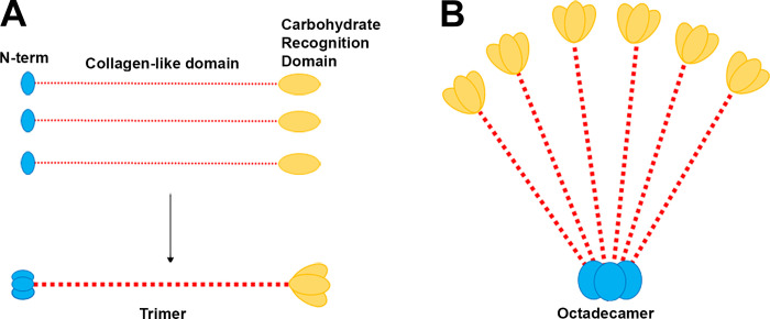 Fig. 1.