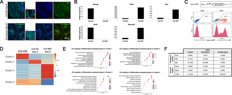 Figure 3: