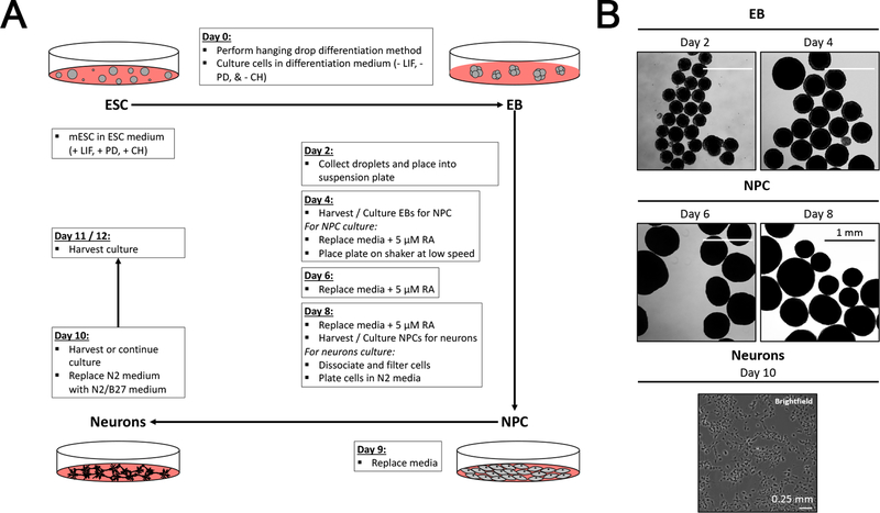 Figure 2: