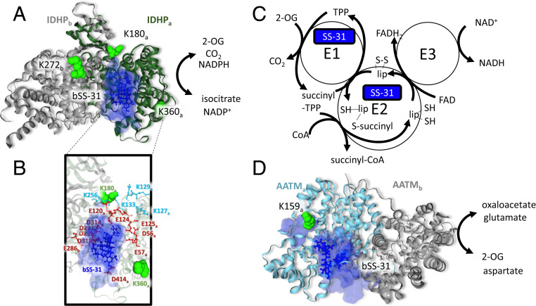 Fig. 6.