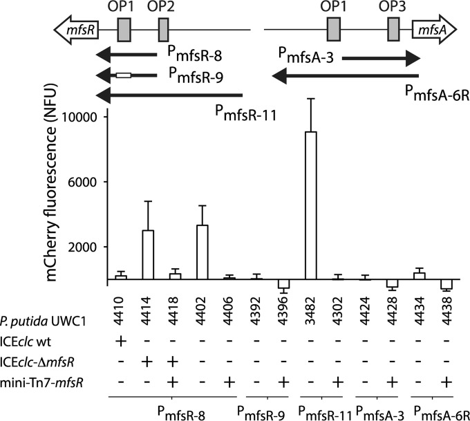 FIG 6