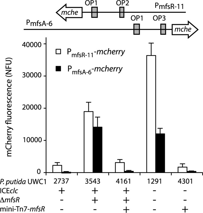 FIG 3