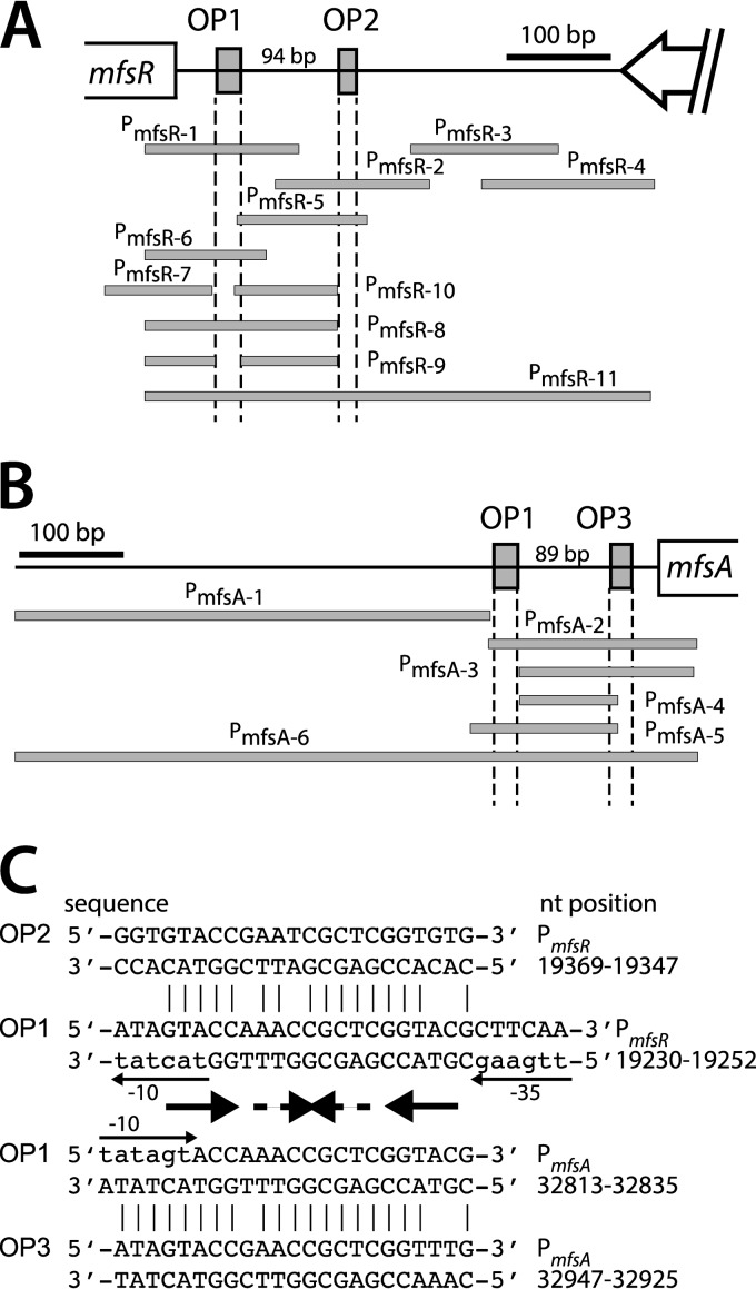 FIG 2