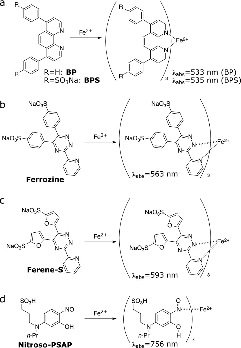 Fig. 1