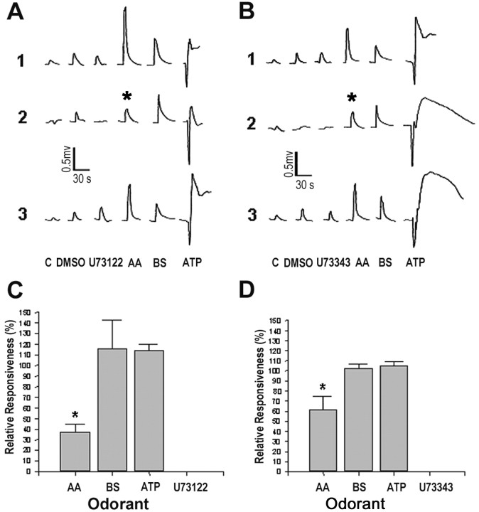 Figure 9.