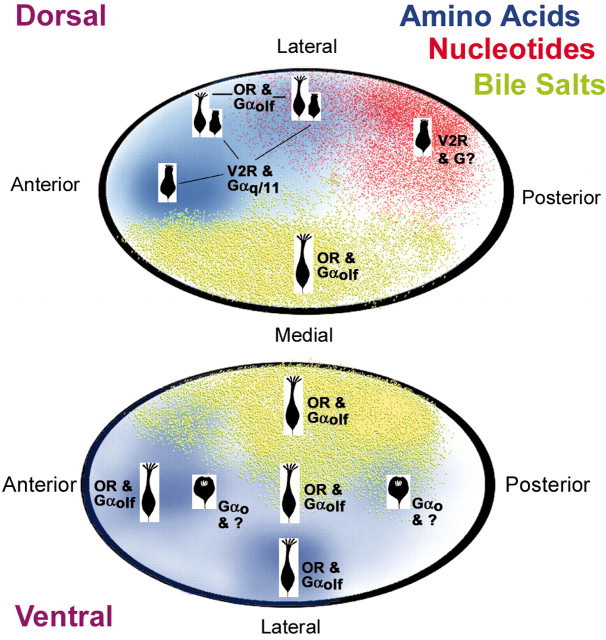 Figure 10.