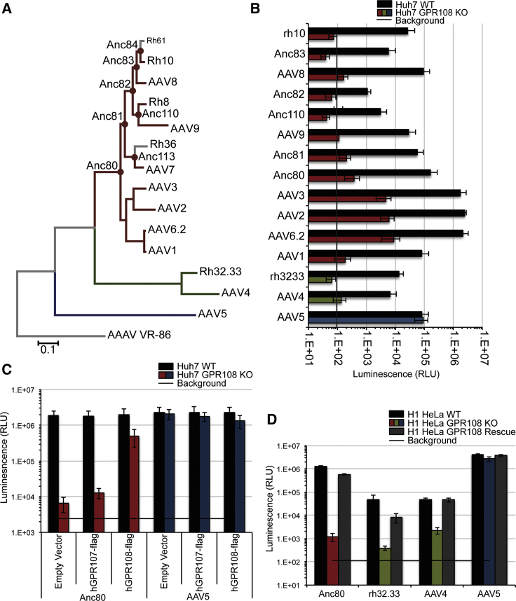 Figure 2