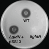 Fig 7