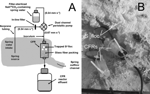 FIG. 1.