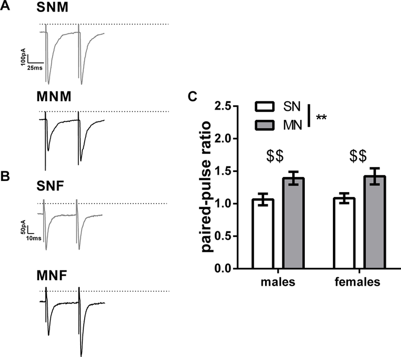 Figure 6: