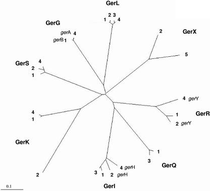 FIG. 7.