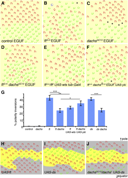 Figure 4