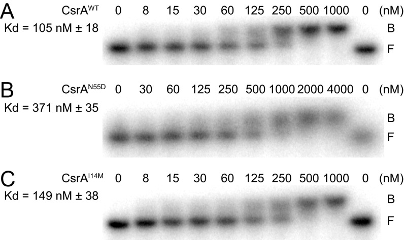 Fig. S5.