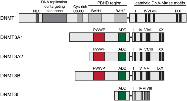 Figure 2.