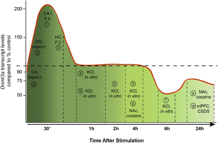 Figure 5.