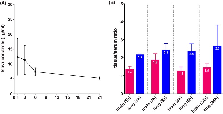 FIG 1